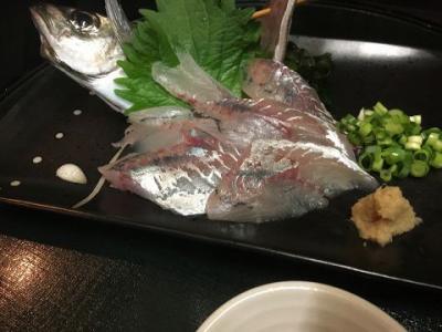 生鯖の刺身