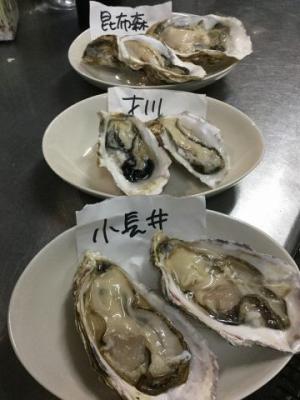生牡蠣食べ比べ