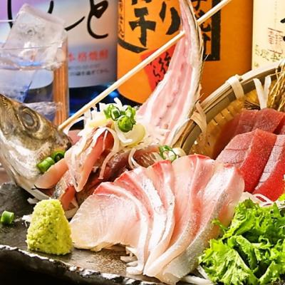 【三崎漁港直送】採れたて鮮魚を楽しめる！