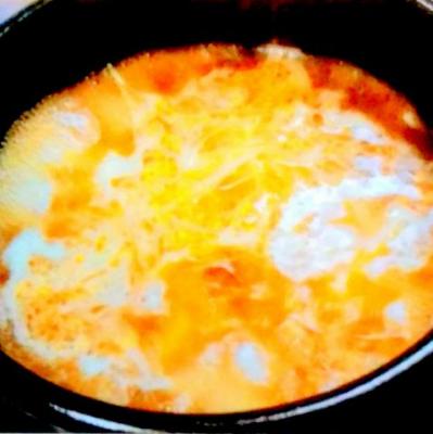 薬膳スープ Soup with traditional herbal medicine