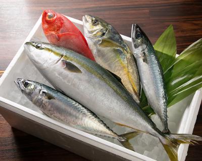 【鮮魚盛合せ】博多長浜市場直送鮮魚を豪華に盛合せ！(一人前)980円